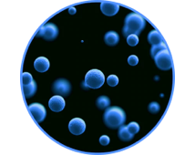 Пыль<br>(двери, окна, полы)