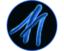 Бактерии<br>(мусорные баки, кожа)