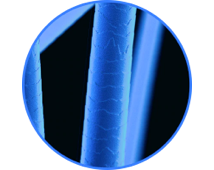 Аллергены от домашних животных<br>(шерсть, частицы кожи)