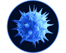 Пыльцевые аллергены <br>
(дверь, окно, ковер)